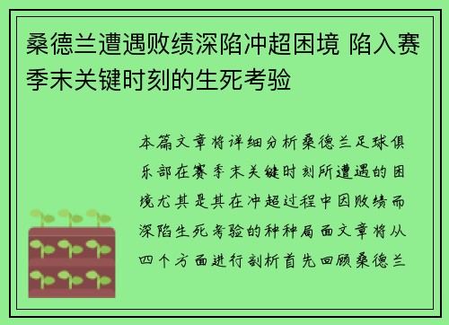 桑德兰遭遇败绩深陷冲超困境 陷入赛季末关键时刻的生死考验